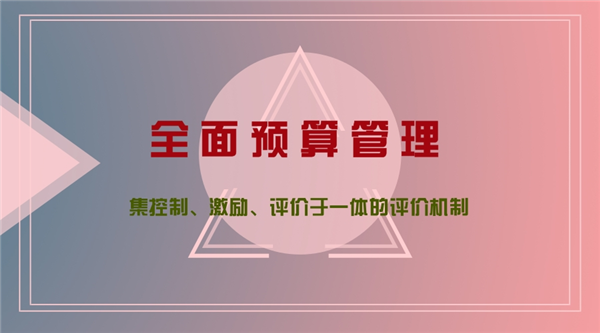 全面预算管理,企业战略计划,成本,利润 全面预算管理,企业战略计划,成本,利润